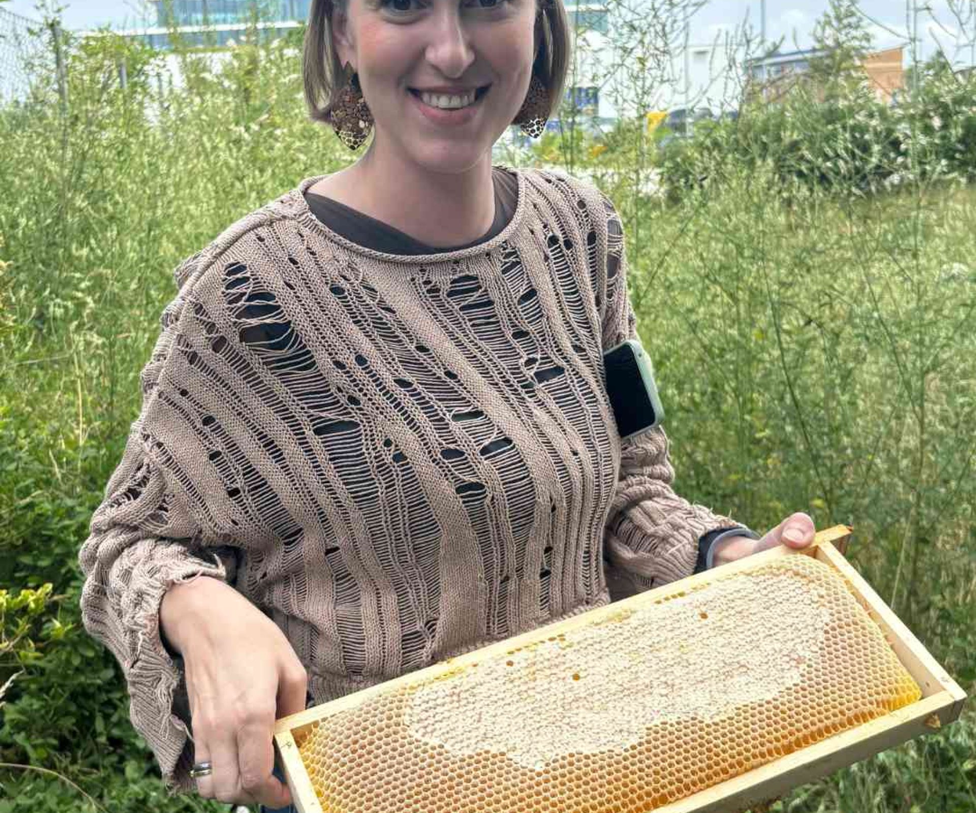 Honigernte bei Bienenstock